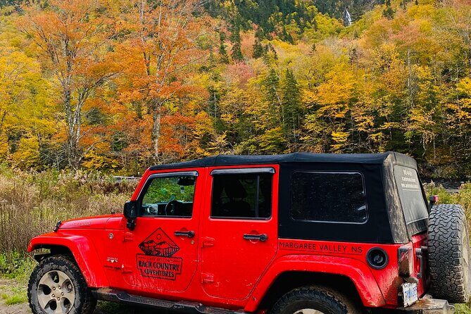 Cape Breton Fall Colours Tour On and Off Road - Timing Tips: Fall Colours, Light, and Getting the Most Out of 2 Hours