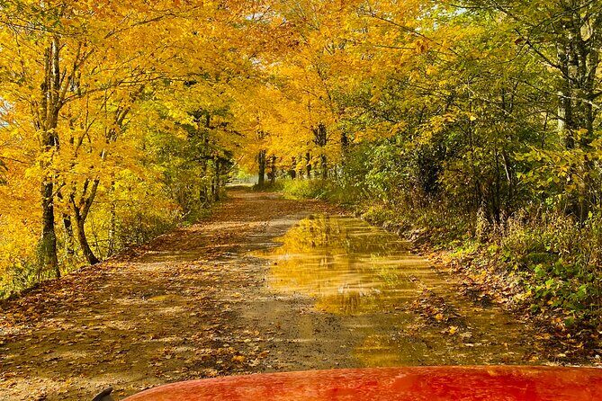 Cape Breton Fall Colours Tour On and Off Road - Who This Tour Suits Best (and Who Might Want a Different Style)