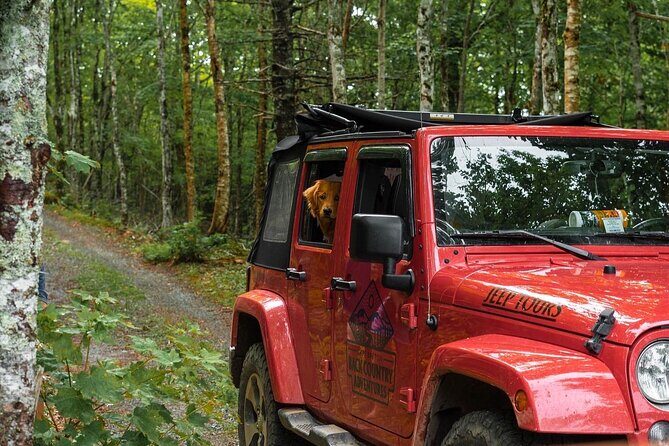 Cape Breton Scenic Jeep Adventure - Stop 2: Valley View Chalets on Fraser’s Mountain (about 10 minutes)