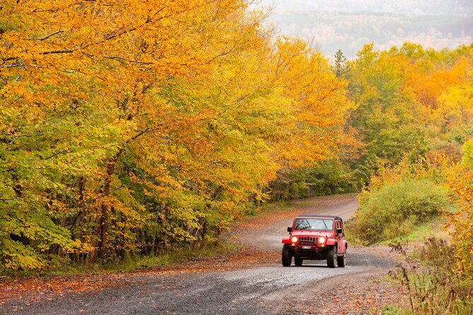 Cape Breton Waterfall Jeep Excursion - Biggest Waterfall in NS - Comfort Tips for Muddy Trails and Long Viewpoints