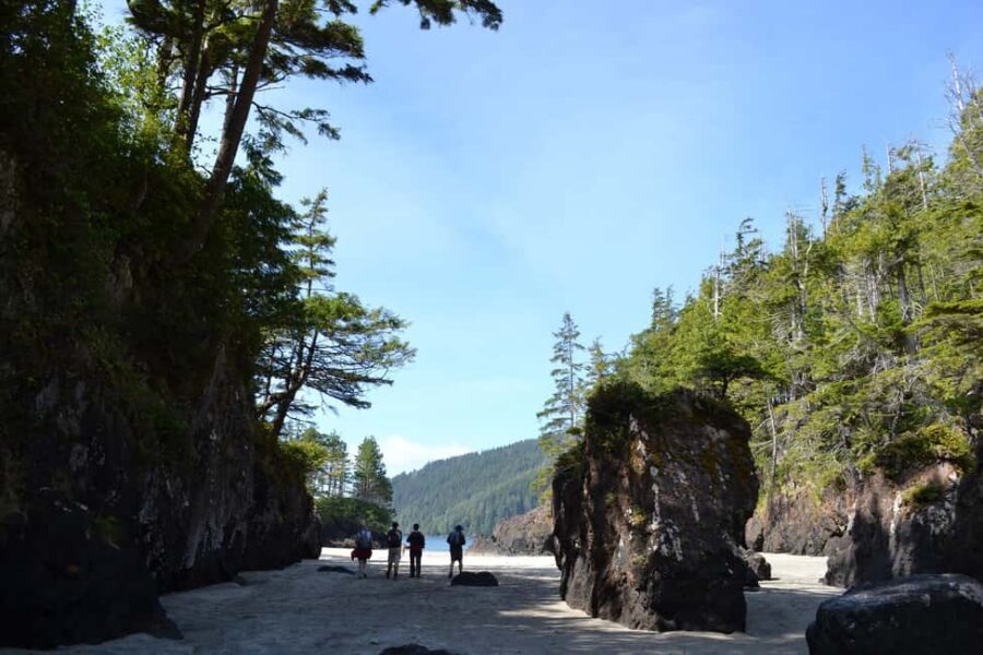 Cape Scott: San Josef Bay Day Hike with Scenic Drive - San Josef Bay in Cape Scott Park: what you’re really hiking for