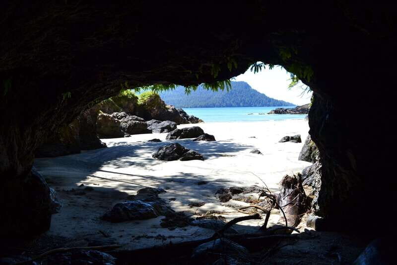 Cape Scott: San Josef Bay Day Hike with Scenic Drive - Wildlife viewing: your best odds come from patience on the drive