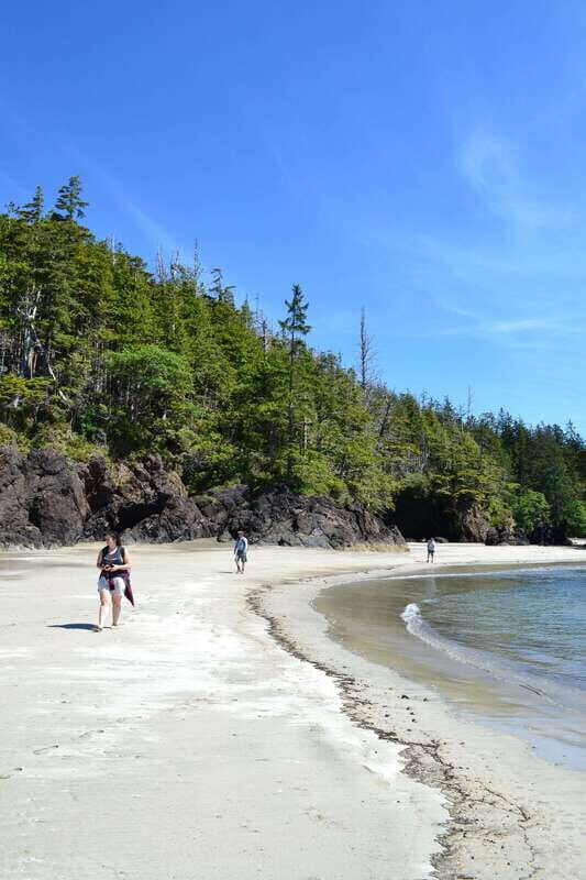 Cape Scott: San Josef Bay Day Hike with Scenic Drive - What $274 buys you for an 8-hour day in remote British Columbia