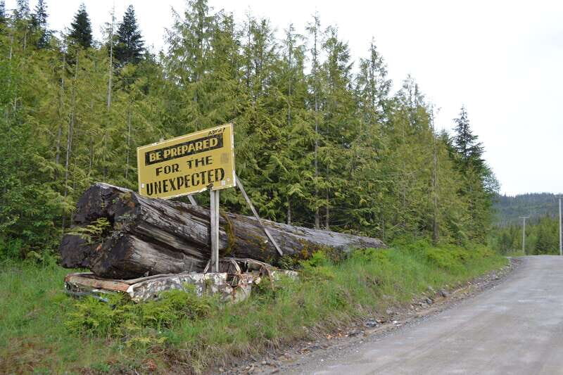 Cape Scott: San Josef Bay Day Hike with Scenic Drive - Group size, language options, and the pace of the day