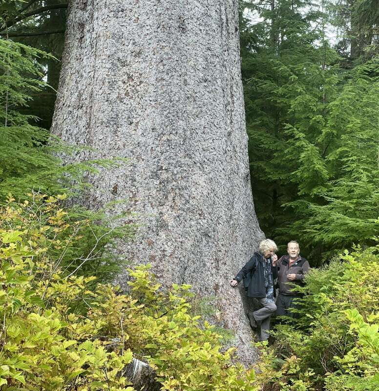 Cape Scott: San Josef Bay Day Hike with Scenic Drive - From Kwa’lilas Hotel to the trailhead: the scenic drive you shouldn’t skip