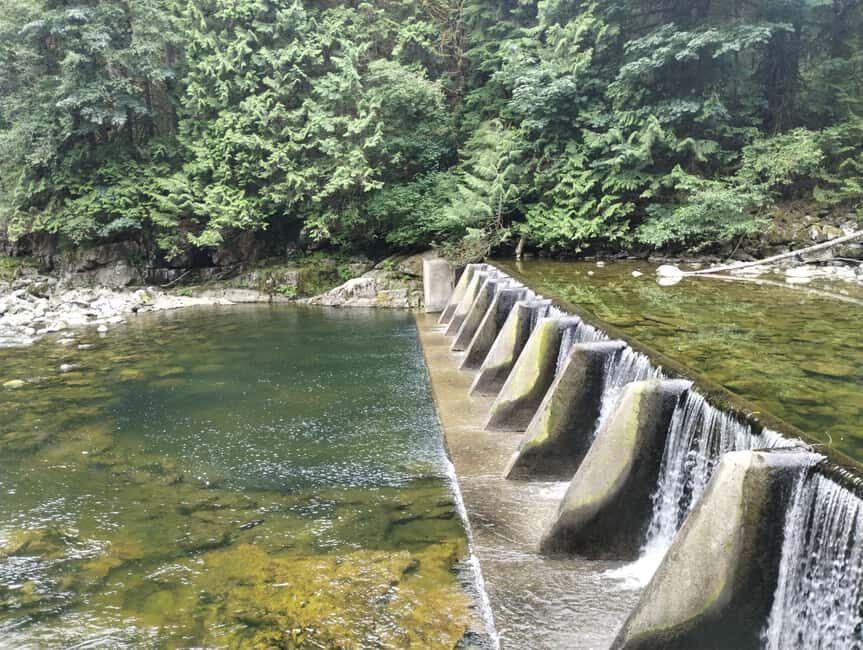 CAPILANO BR+GROUSE Mtn+STANLEY P+DAM+LAKE+HATCHERY/CAR/9in1 - How This Half-Day Works When You Want Maximum Vancouver