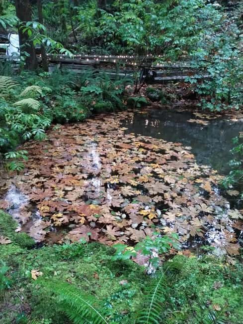 CAPILANO BR+GROUSE Mtn+STANLEY P+DAM+LAKE+HATCHERY/CAR/9in1 - Cleveland Dam and Capilano Lake: Big Concrete, Bigger Views
