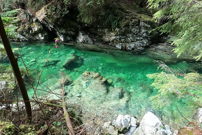 Capilano Suspension Bridge Canyon Lights & 4 Top highlights - How this Vancouver-to-North Shore day trip is paced