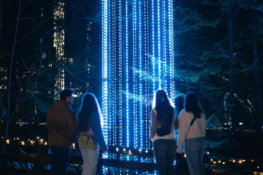 Capilano Suspension Bridge Canyon Lights Holiday Tour - Canyon Lights on Capilano: what makes this night tour worth it
