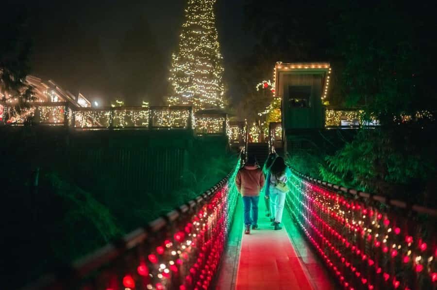Capilano Suspension Bridge Canyon Lights Holiday Tour - Treetops Adventure: seeing the forest from a different height
