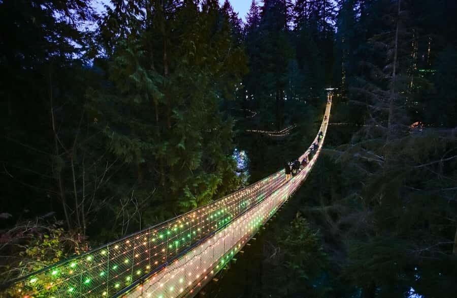 Capilano Suspension Bridge Canyon Lights Holiday Tour - Cliffwalk by glowing canyon walls