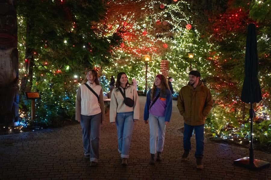 Capilano Suspension Bridge Canyon Lights Holiday Tour - Quick practical advice for a cold, lit evening