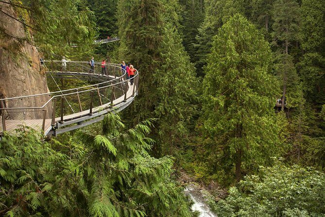 Capilano Suspension Bridge + Grouse Mountain Tour - Food and Drinks: What to Plan When Nothing Is Included