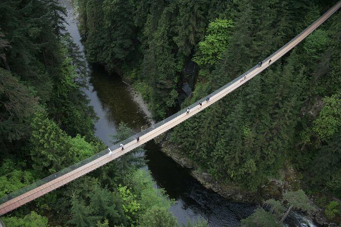 Capilano Suspension Bridge Park Ticket - Ticket value: what your $61.51 gets you (and why it matters)