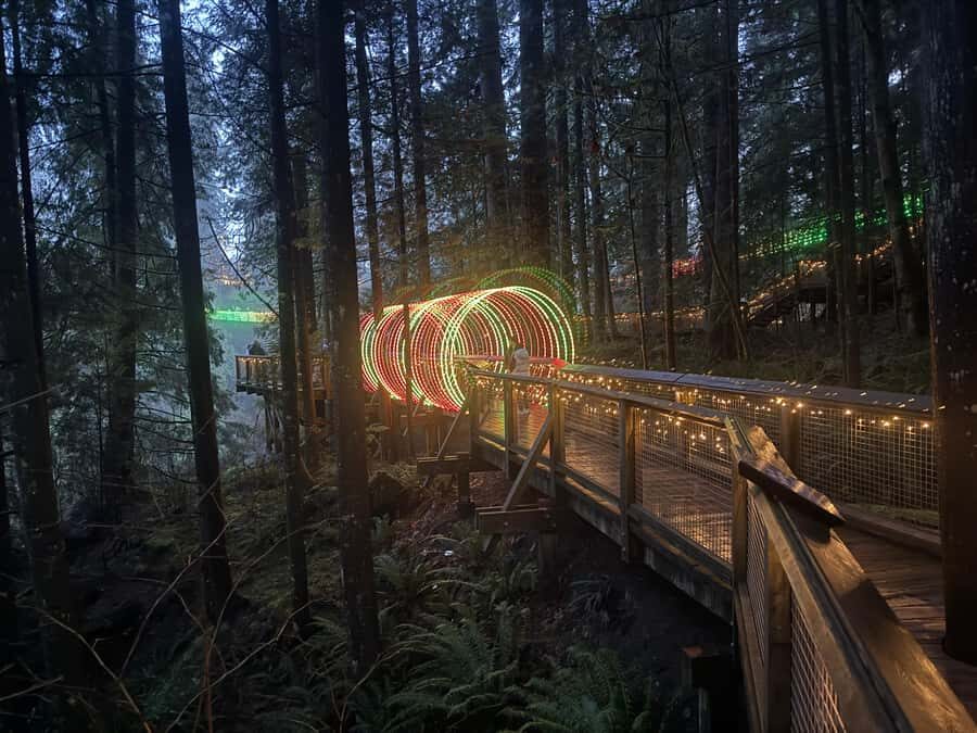 Capilano Suspension Bridge/Private/Small Group/By LUX CAR - Cliffwalk Along the Granite: Narrow Paths, Big Canyon Vistas