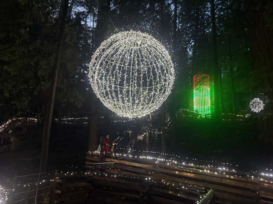 Capilano Suspension Bridge/Private/Small Group/By LUX CAR - Eagle Eye and the Raptor Show: Views and Live Nature Moments