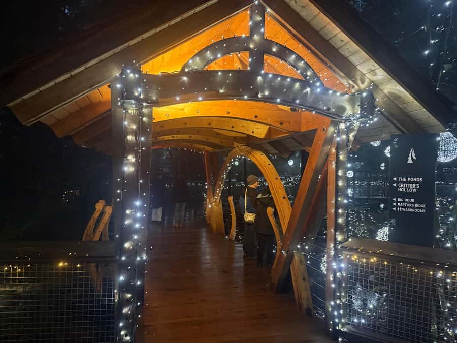 Capilano Suspension Bridge/Private/Small Group/By LUX CAR - The Stanley Park Loop via Lions Gate: Why the Car Part Matters