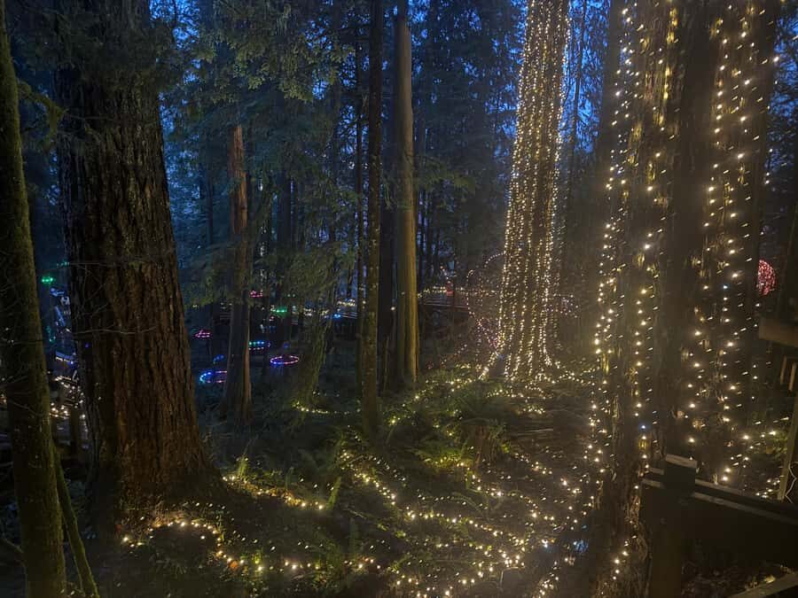 Capilano Suspension Bridge/Private/Small Group/By LUX CAR - Price and Value: What You’re Really Paying For at $136
