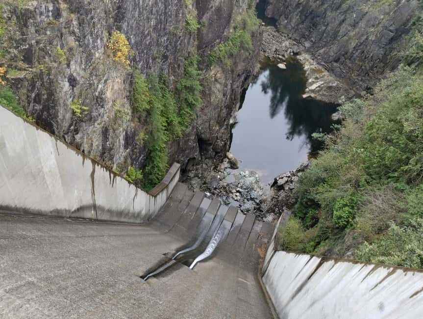 Capilano Suspension Br+Lake+Dam+Hachery/4in1/CAR/Small GROUP - Stanley Park: the quick-hit version that still hits hard