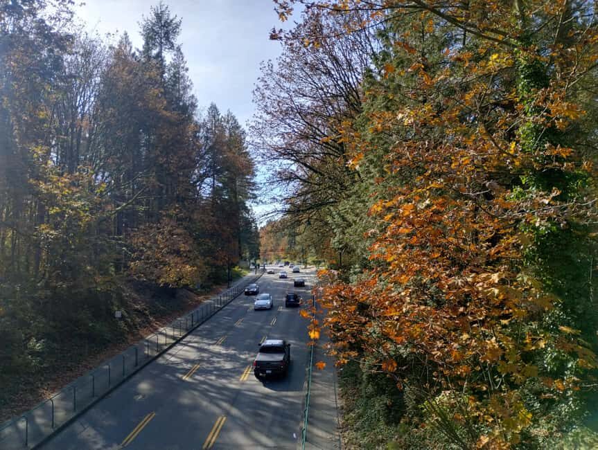 Capilano Suspension Br+Lake+Dam+Hachery/4in1/CAR/Small GROUP - Lions Gate Bridge: the port view you’ll remember