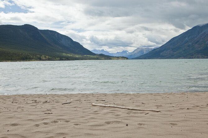 Caribou Crossing Adventure Tour - Key highlights you’ll feel right away