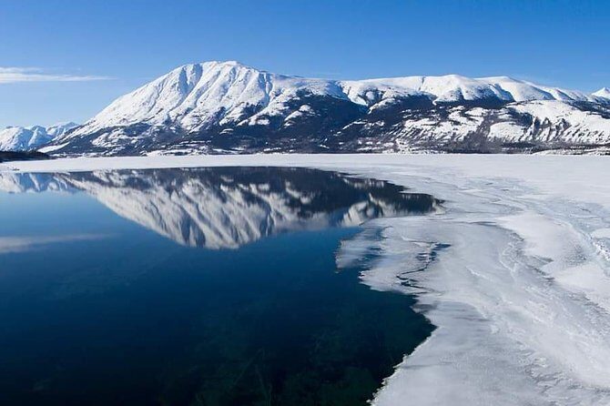 Caribou Crossing Adventure Tour - How This Whitehorse Day Trip Works in 6 Hours