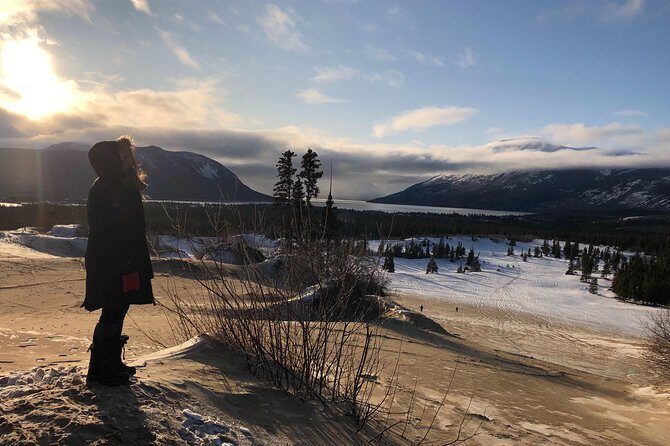 Caribou Crossing Adventure Tour - Yukon Border Scenic Drive on the South Klondike Highway