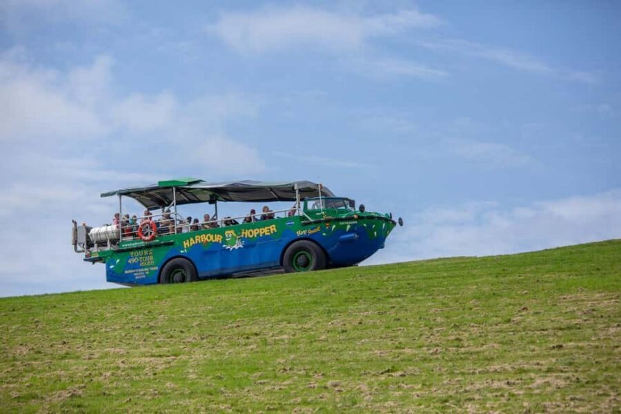 Charlottetown: Harbour Hopper Tour - From Founders’ Food Hall to the big green-and-blue Hopper