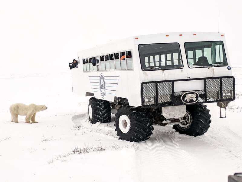 Churchill: Exclusive Tundra Buggy Day Trip - Checking In at Fifty Eight North: how to start smoothly