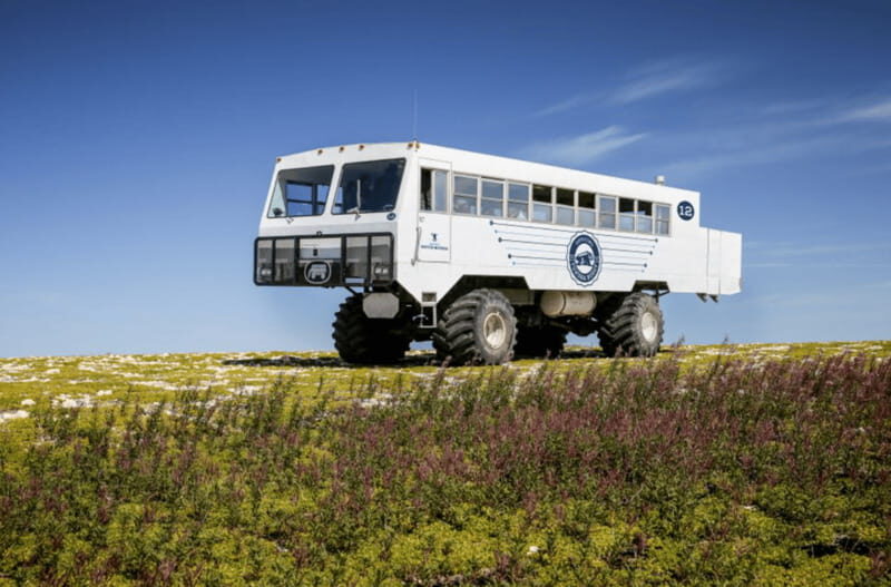 Churchill: Exclusive Tundra Buggy Day Trip - Who should book this Churchill Tundra Buggy day trip?