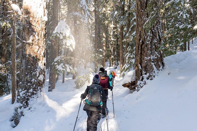 Coast Mountain Backcountry Snowshoe Tours - Key Highlights You’ll Care About