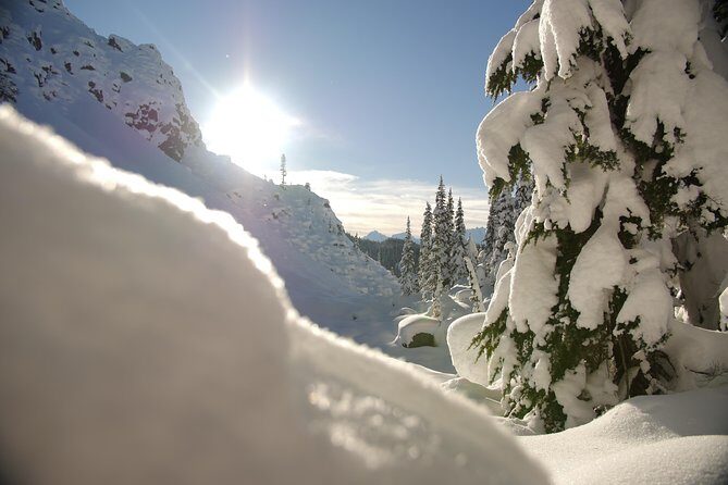 Coast Mountain Backcountry Snowshoe Tours - Winter Backcountry in Whistler: What This Tour Feels Like