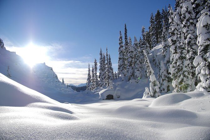 Coast Mountain Backcountry Snowshoe Tours - Route Options: Crater Rim Snowshoe Tour vs Joffre Lakes Snowshoe Tour
