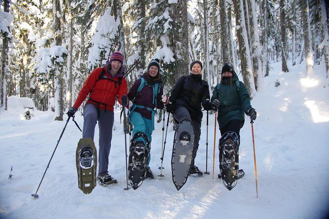 Coast Mountain Backcountry Snowshoe Tours - The Guide Experience: Why Your Guide Can Make or Break the Day