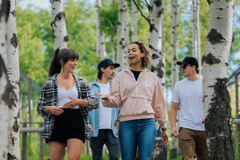 Cochrane: Yamnuska Wolfdog Sanctuary Tour - Key Points You’ll Want to Know Before You Go