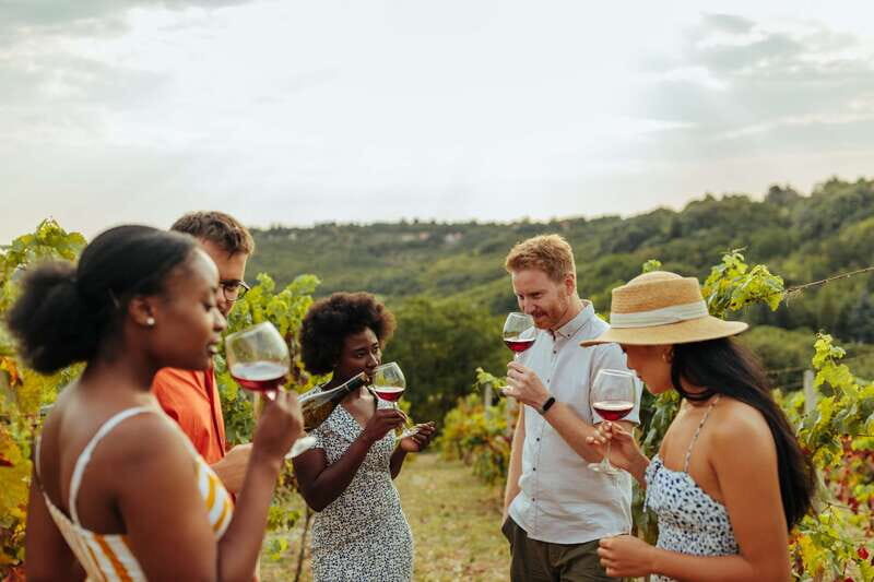 Collingwood: Blue Mountains Wine and Cider Tasting Tour - Key Points You’ll Actually Care About