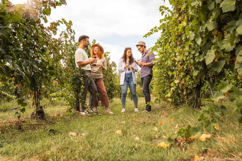 Collingwood: Blue Mountains Wine and Cider Tasting Tour - Comfort and logistics that affect your enjoyment