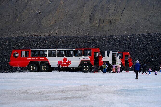 Columbia Icefield Adventure,Bow Lake,Peyto Lake in Banff & Jasper - Key points worth knowing
