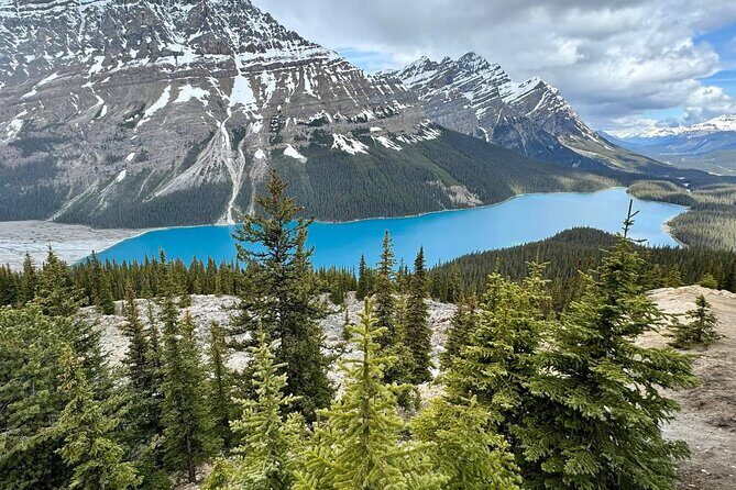 Columbia Icefield, Crowfoot Glacier and Bow ,Peyto Lake Tour - Lake Louise: Where You Begin With Turquoise Views and Easy Flex Time