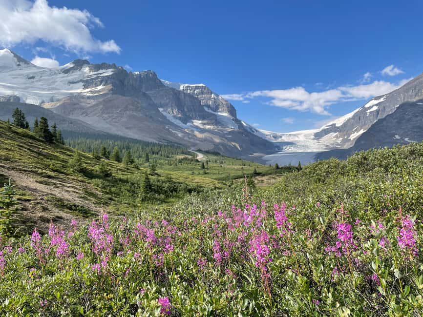 Columbia Icefield: Guided Glacier Hike - What you’ll see: crevasses, mill wells, meltwater streams, and icefalls