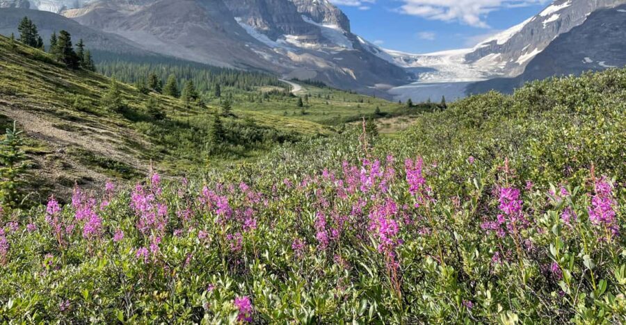 Columbia Icefield: Guided Glacier Hike - FAQ