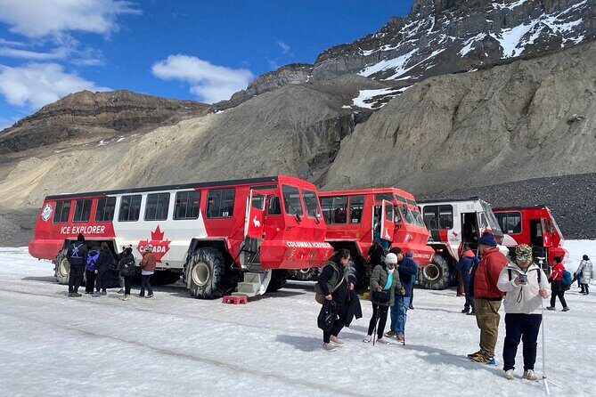 Columbia Icefield Peyto Lake Bow Lake from Calgary Canmore Banff - Key things to know before you go