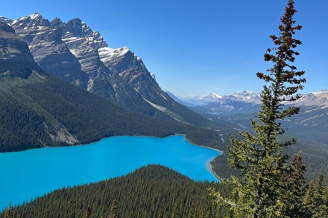 Columbia Icefield Peyto Lake Bow Lake from Calgary Canmore Banff - Columbia Icefield Discovery Centre: Your Main Act for Ice Walk Time and Skywalk Views