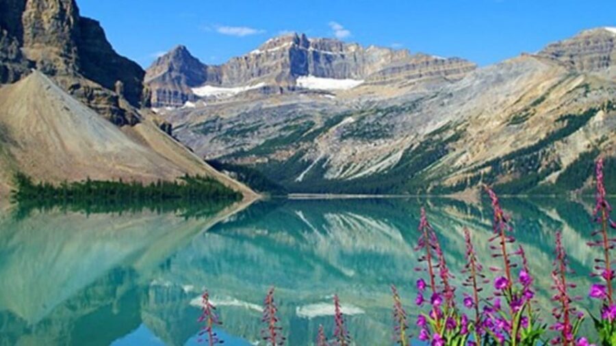 Columbia icefield, Skywalk, Waterfowl, Bow & Peyto Lake Tour - Bow Lake, Glacier Lake, and Waterfowl Lake: where the day shifts from wow to wow