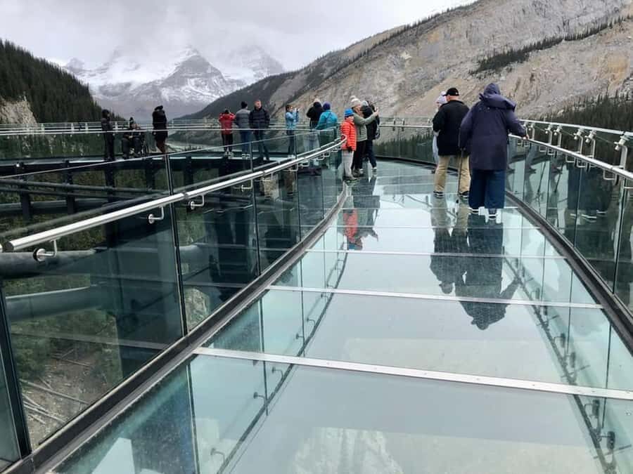 Columbia icefield, Skywalk, Waterfowl, Bow & Peyto Lake Tour - Who this tour suits best