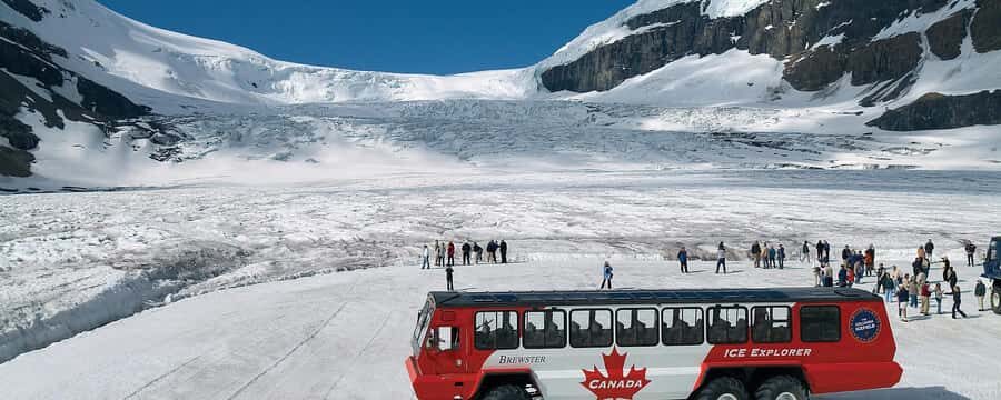Columbia icefield, Skywalk, Waterfowl, Bow & Peyto Lake Tour - The day’s core: Columbia Icefield sights and Crowfoot Glacier moments
