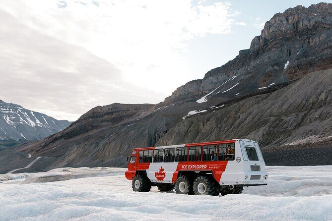 Columbia Icefield Tour with Glacier Skywalk from Banff - The buffet lunch: decent fuel, not a sad afterthought