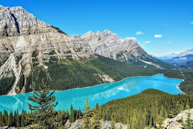 Columbia Icefield,Peyto Lake,Bow Lake Day Trip from Banff/Calgary - Bow Lake (20 minutes): a quick win with the Wapta Icefield connection