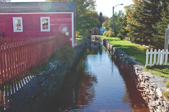 Conception Bay Tour Experience - Conception Harbour and the SS Charcot Wreck (1966)
