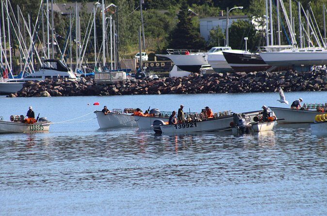 Conception Bay Tour Experience - Cupids: Canada’s First English Settlement (And a Full Hour)